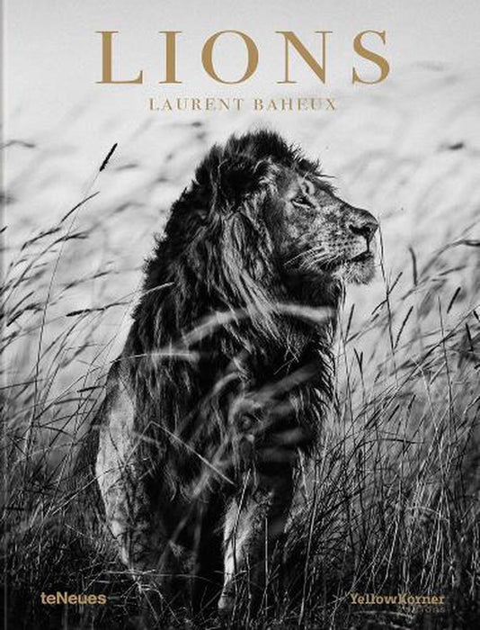 Lions Book