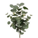 Eucalyptus Gum Bush 60cm